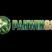 PakWin88 Game