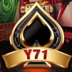 y71 game